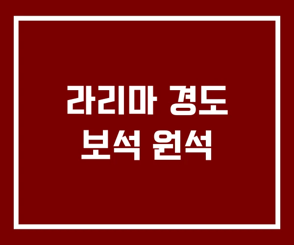 라리마 경도 보석 원석 라리마 경도 보석 원석
