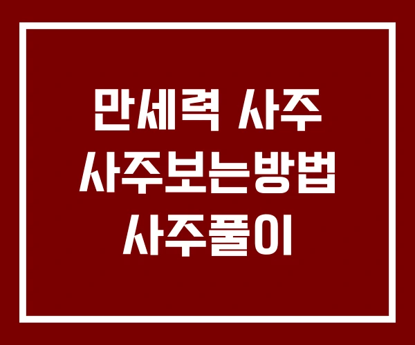 만세력 사주 사주보는방법 사주풀이