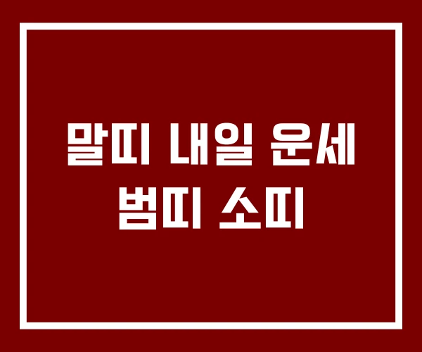 말띠 내일 운세 범띠 소띠