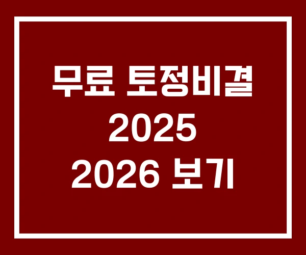 무료 토정비결 2025 2026 보기