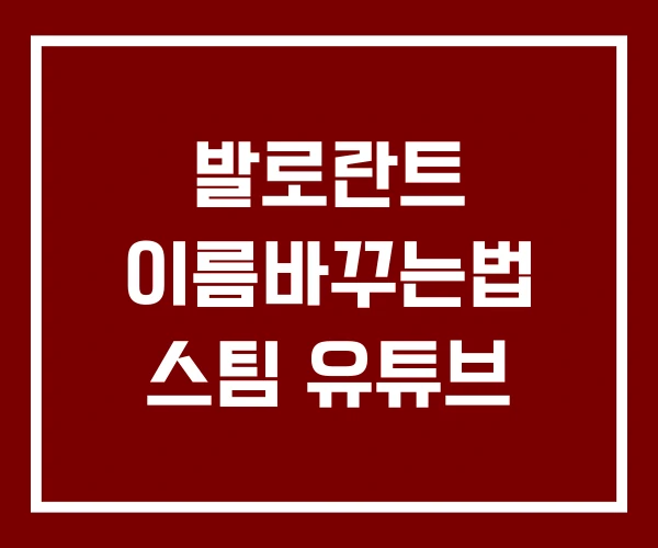 발로란트 이름바꾸는법 스팀 유튜브