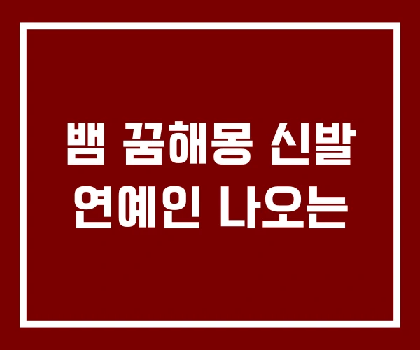 뱀 꿈해몽 신발 연예인 나오는