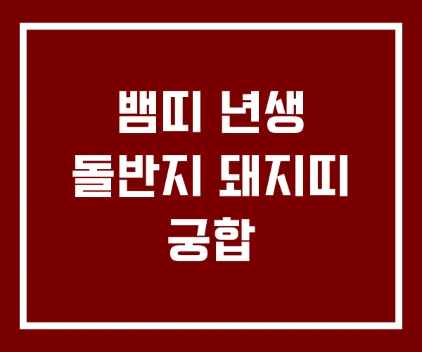 뱀띠 년생 돌반지 돼지띠 궁합