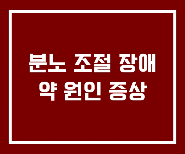 분노 조절 장애 약 원인 증상