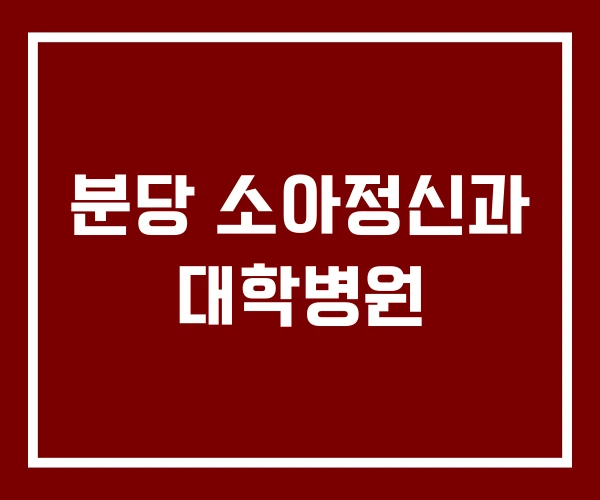 분당 소아정신과 대학병원