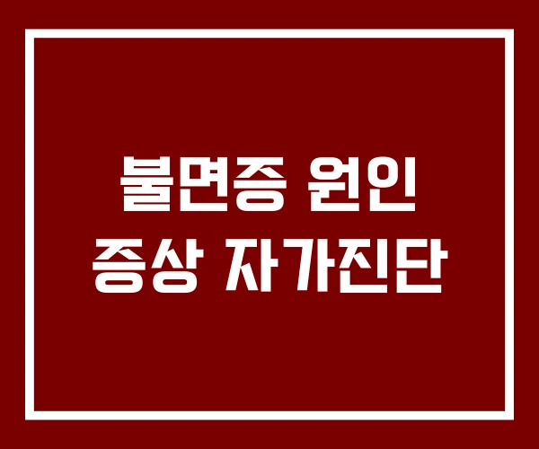 불면증 원인 증상 자가진단