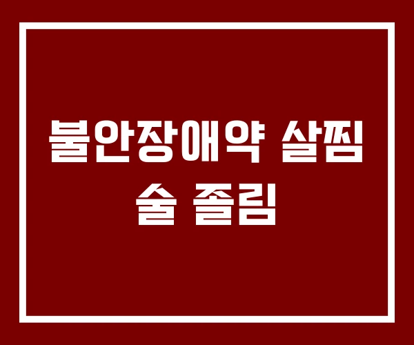 불안장애약 살찜 술 졸림