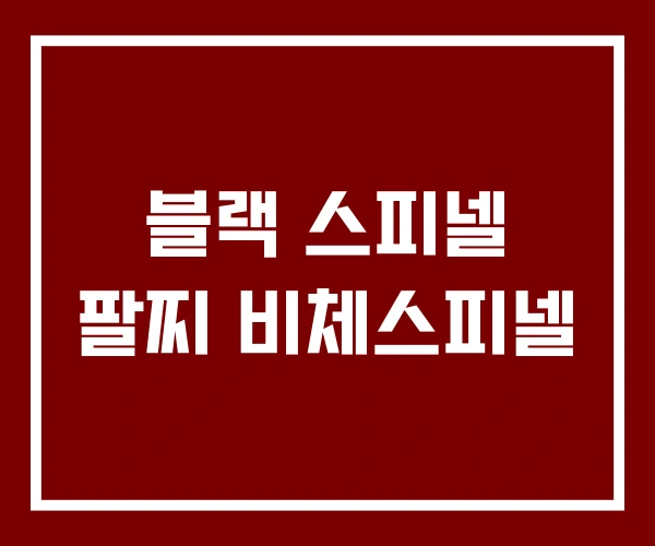 블랙 스피넬 팔찌 비체스피넬