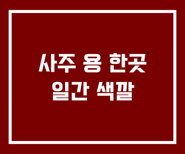 사주 용 한곳 일간 색깔