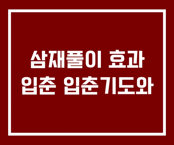 삼재풀이 효과 입춘 입춘기도와