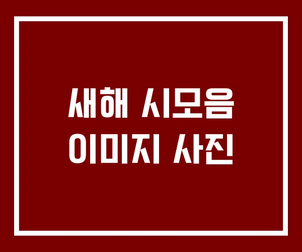 새해 시모음 이미지 사진