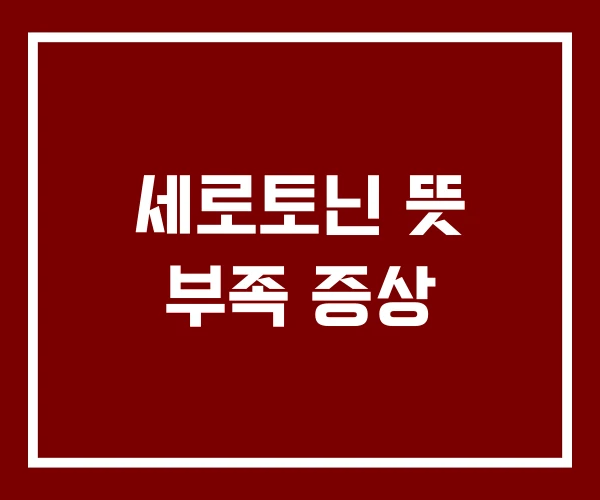 세로토닌 뜻 부족 증상