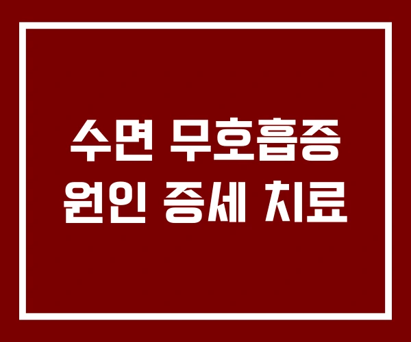 수면 무호흡증 원인 증세 치료