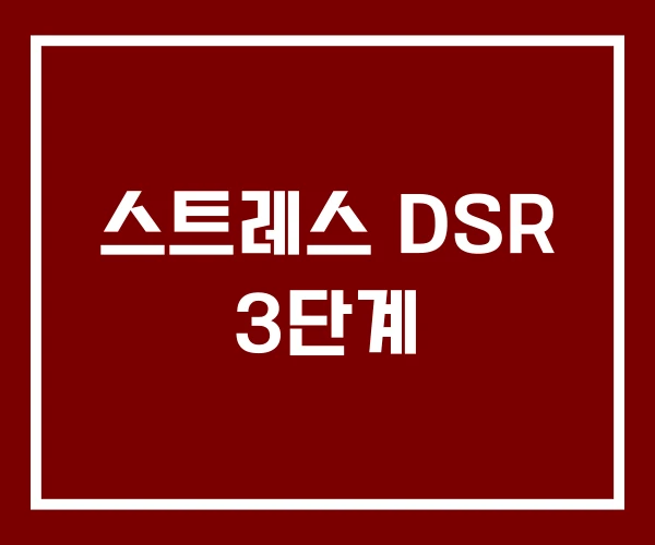 스트레스 DSR 3단계