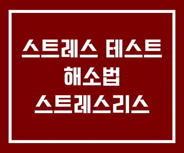 스트레스 테스트 해소법 스트레스리스
