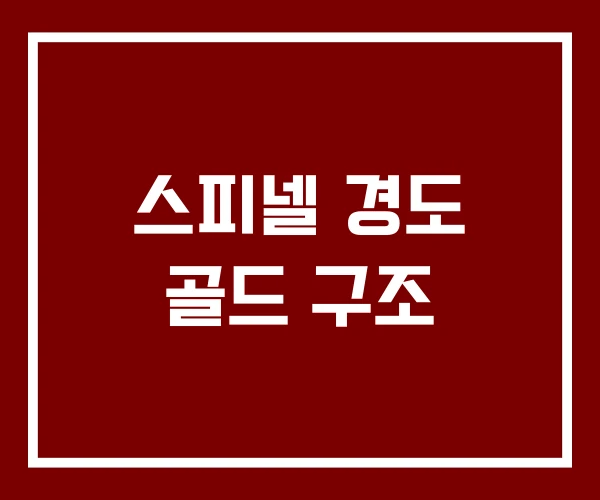 스피넬 경도 골드 구조