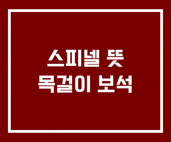 스피넬 뜻 목걸이 보석