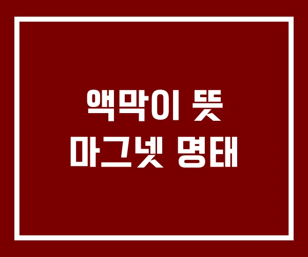 액막이 뜻 마그넷 명태