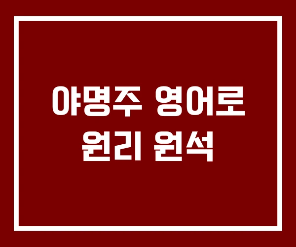 야명주 영어로 원리 원석