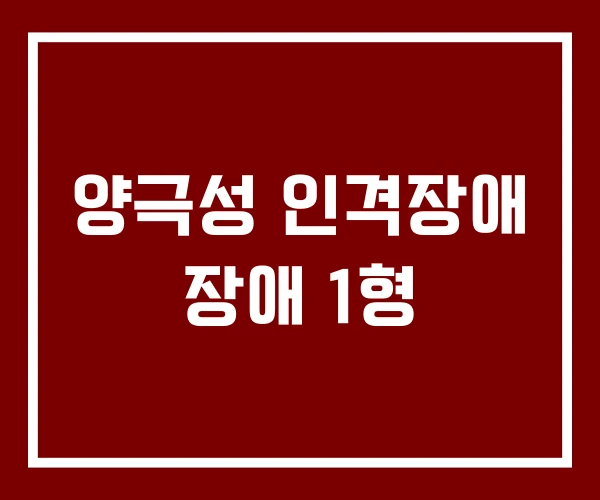 양극성 인격장애 장애 1형