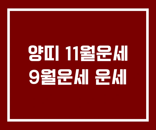 양띠 11월운세 9월운세 운세