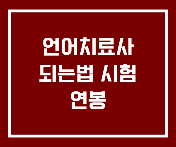 언어치료사 되는법 시험 연봉