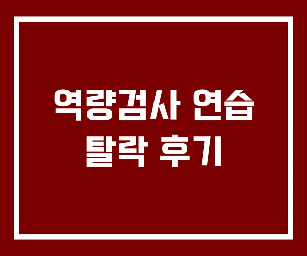 역량검사 연습 탈락 후기