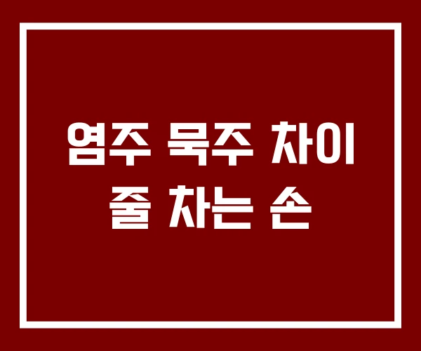염주 묵주 차이 줄 차는 손