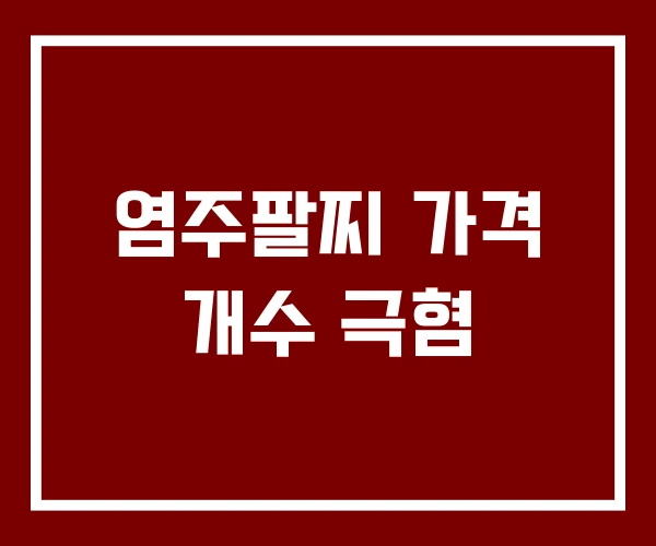 염주팔찌 가격 개수 극혐