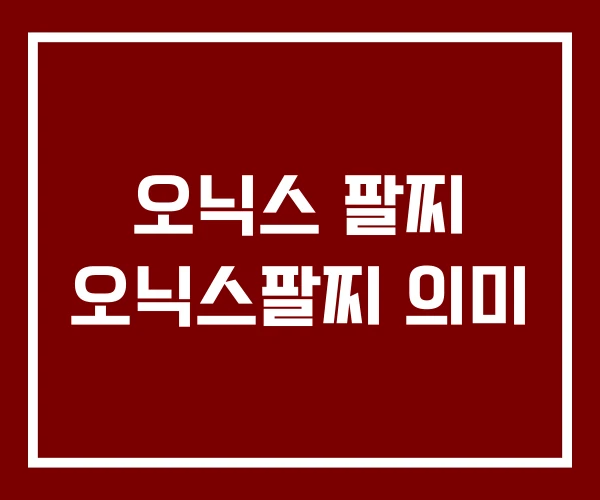 오닉스 팔찌 오닉스팔찌 의미