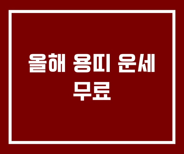 올해 용띠 운세 무료