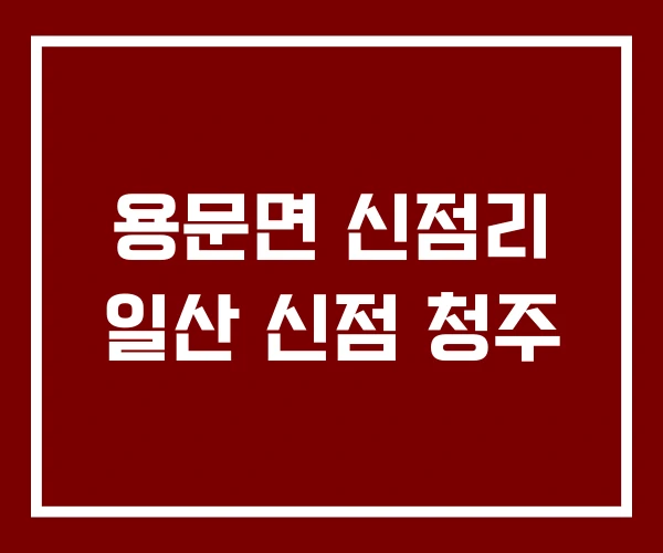 용문면 신점리 일산 신점 청주