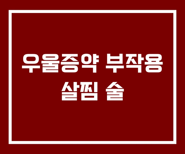 우울증약 부작용 살찜 술