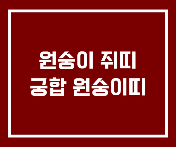 원숭이 쥐띠 궁합 원숭이띠