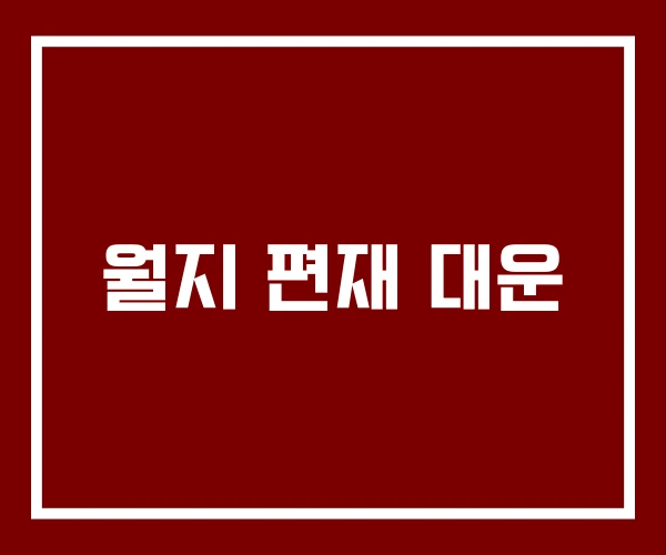 월지 편재 대운 월지 편재 대운