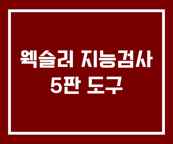 웩슬러 지능검사 5판 도구