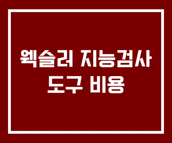 웩슬러 지능검사 도구 비용