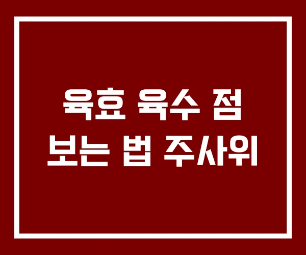 육효 육수 점 보는 법 주사위