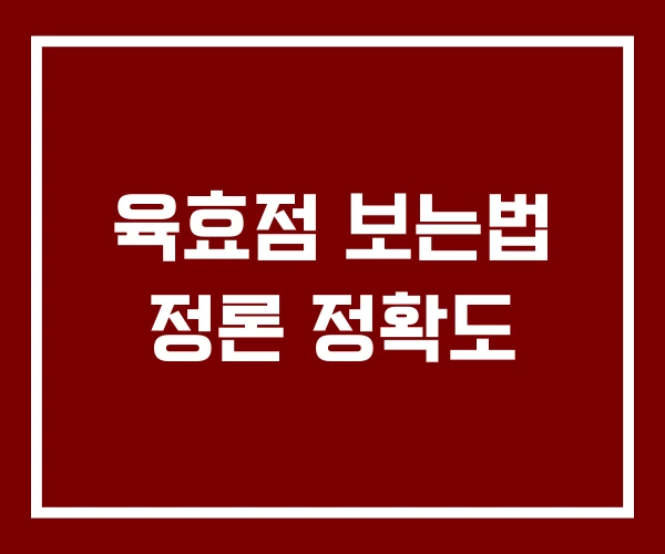 육효점 보는법 정론 정확도