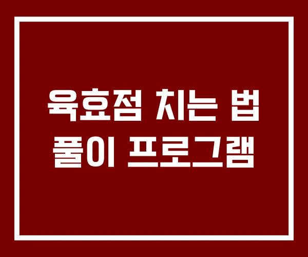 육효점 치는 법 풀이 프로그램