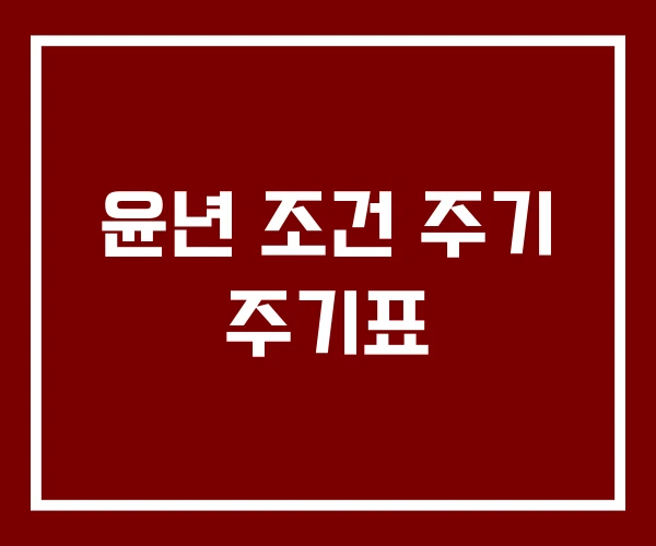 윤년 조건 주기 주기표