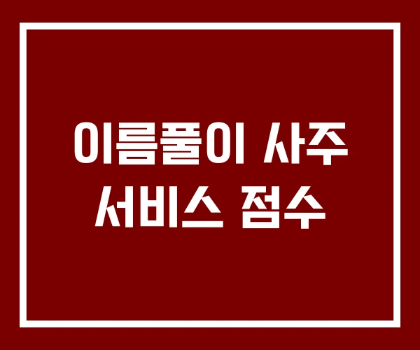 이름풀이 사주 서비스 점수