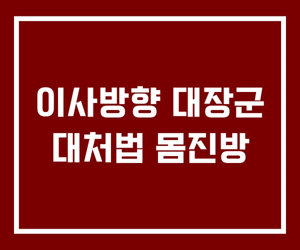 이사방향 대장군 대처법 몸진방
