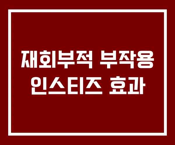 재회부적 부작용 인스티즈 효과