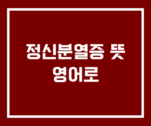 정신분열증 뜻 영어로