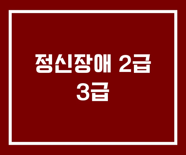 정신장애 2급 3급