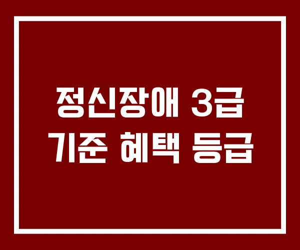 정신장애 3급 기준 혜택 등급 정신장애 3급 기준 혜택 등급