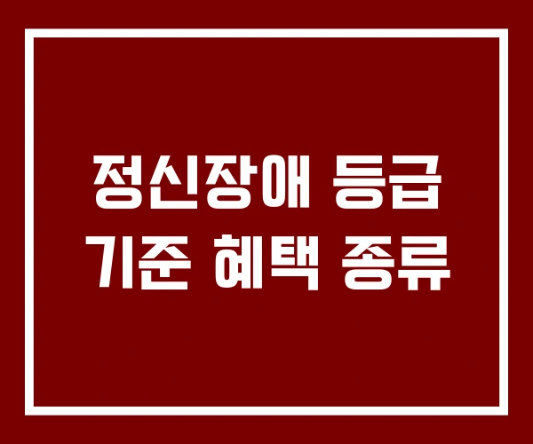 정신장애 등급 기준 혜택 종류