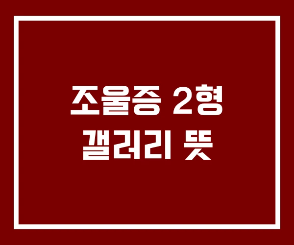 조울증 2형 갤러리 뜻
