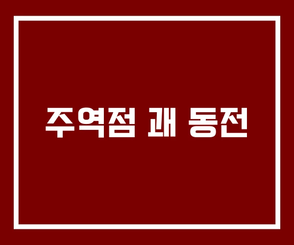 주역점 괘 동전